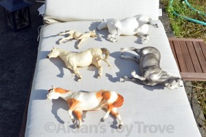 breyerstanning
