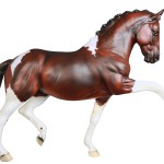 711221Enchante.S.1
