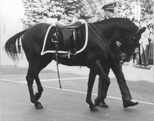 Black Jack Riderless Horse