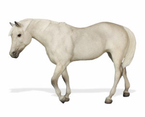 Breyer Test Color Indian Pony Collector's Club 2016