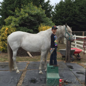 Baya preparing for her new home