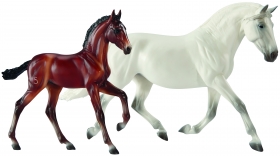 Breyer Fantasia Del C and Gozosa