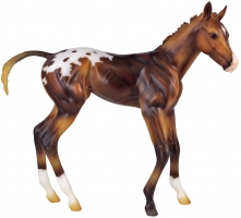 Breyer Espresso