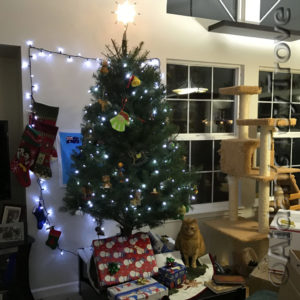 Christmas Tree 2016