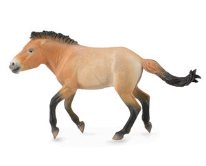 Corral Pals Przewalski Stallion 88602
