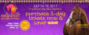 BreyerFest 2017 TIckets