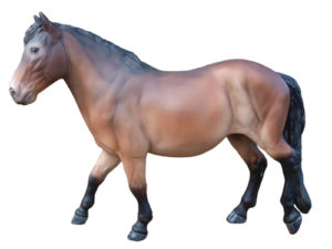 Copperfox Trifle Exmoor Pony