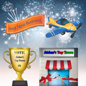 Vote Aidan's Toy Trove