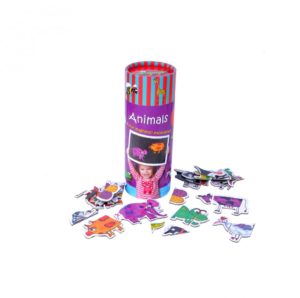 The World of Magnets Animals