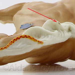 Breyer Commander 53