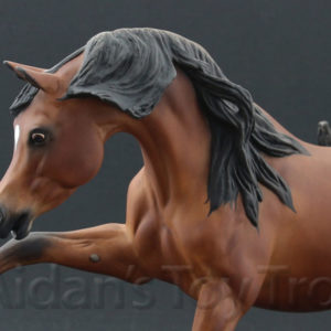 Breyer Custom Ashquar by Lauren Hoeffer